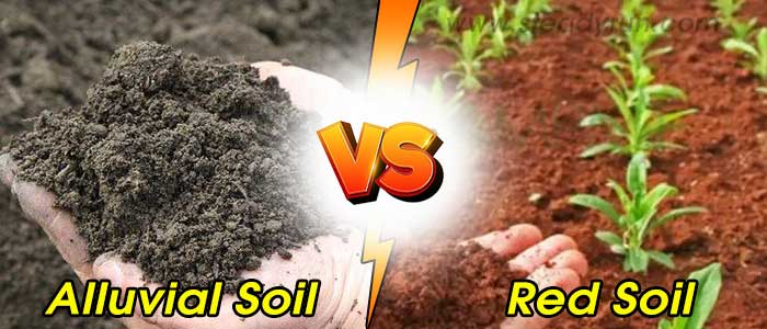 Difference between Alluvial and Red Soil