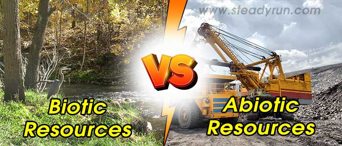 Difference between Biotic and Abiotic resources
