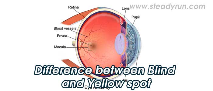 Difference between Blind and Yellow spot
