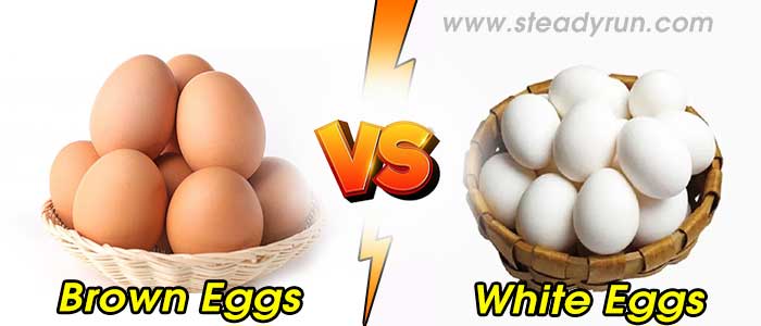 difference-between-brown-white-eggs