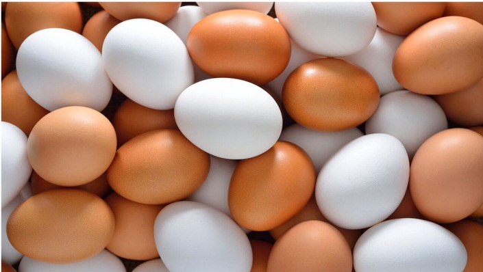 Difference between brown white eggs