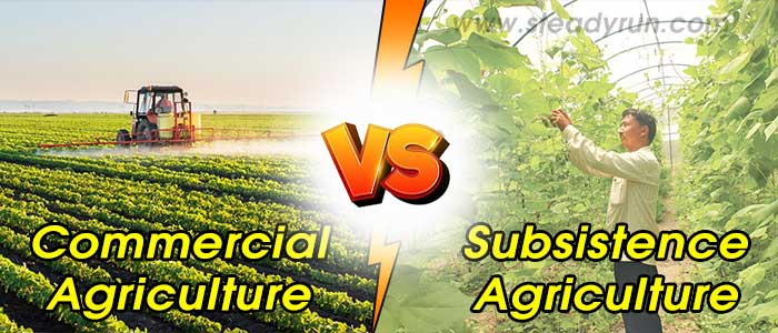 difference-between-commercial-agriculture-and-subsistence-agriculture