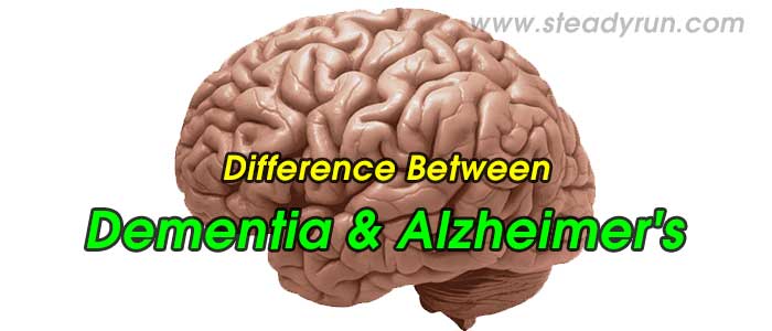 Difference between Dementia and Alzheimer's Disease