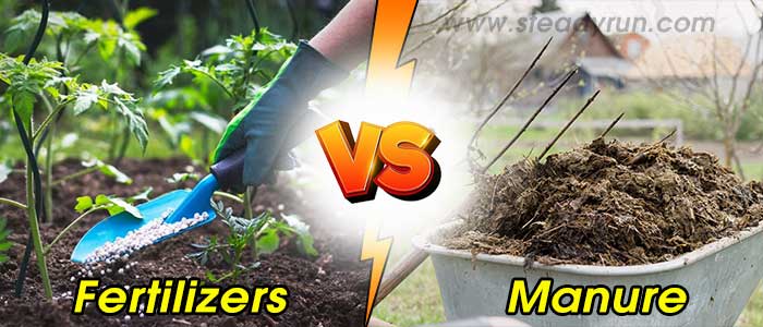 Difference between Fertilizers and Manure