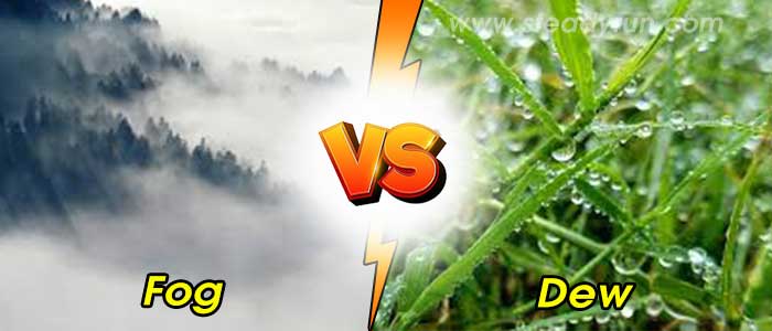 Difference between Fog and Dew
