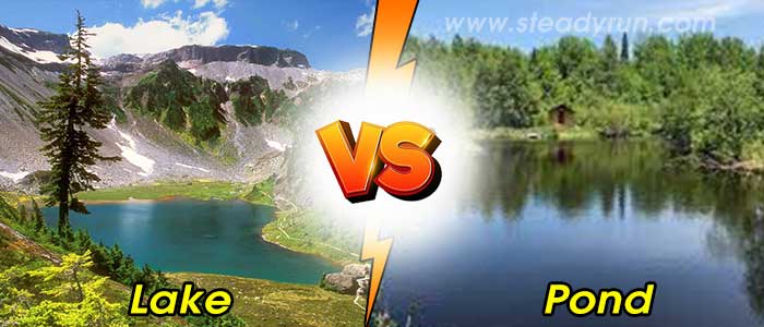 difference-between-lake-pond