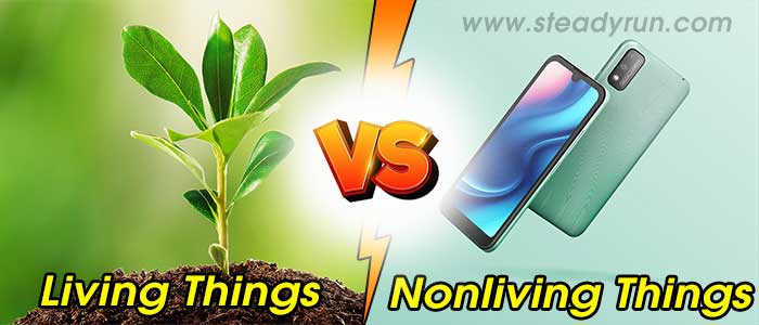 comparison-difference-living-nonliving-things