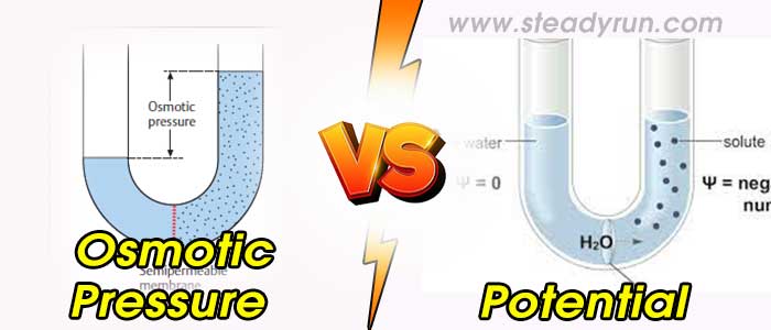 Difference between Osmotic Pressure and Potential