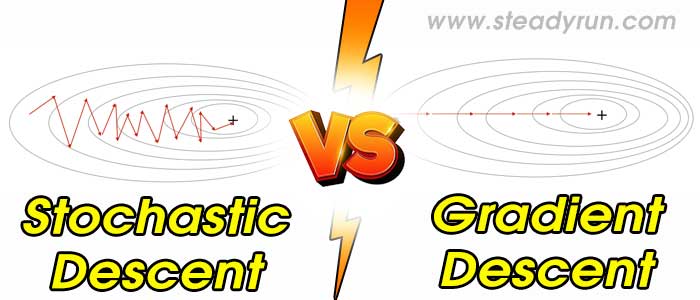 Difference between Stochastic and Gradient Descent