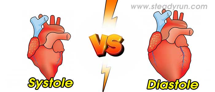 Difference between Systole and Diastole