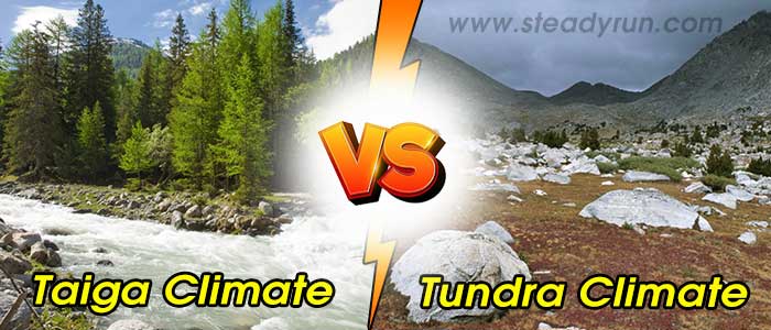 Difference between Taiga and Tundra Climate