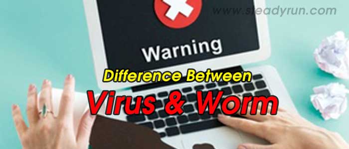 Difference between Virus and Worm