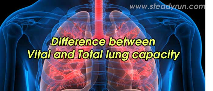 Difference between Vital and Total lung capacity