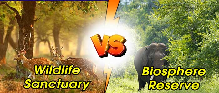 Difference between Wildlife Sanctuary and Biosphere Reserve