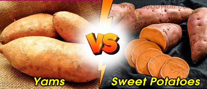 Difference Between Yams and Sweet Potatoes
