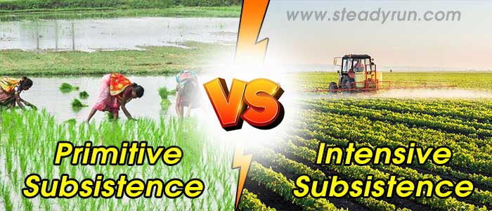 Difference between Primitive subsistence and Intensive subsistence farming