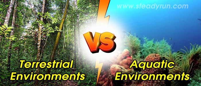 Differences between Terrestrial and Aquatic Environments
