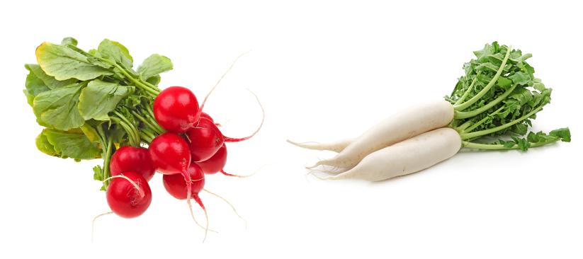health-benefits-of-radishes
