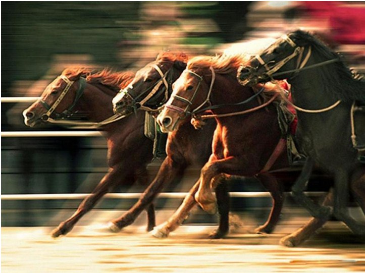 beginners-guide-to-horse-racing-betting