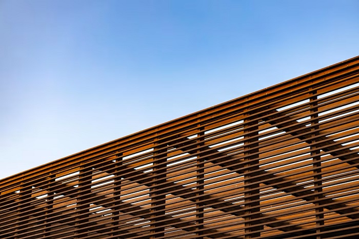 Is Mass Timber Really Sustainable for Our Environment?