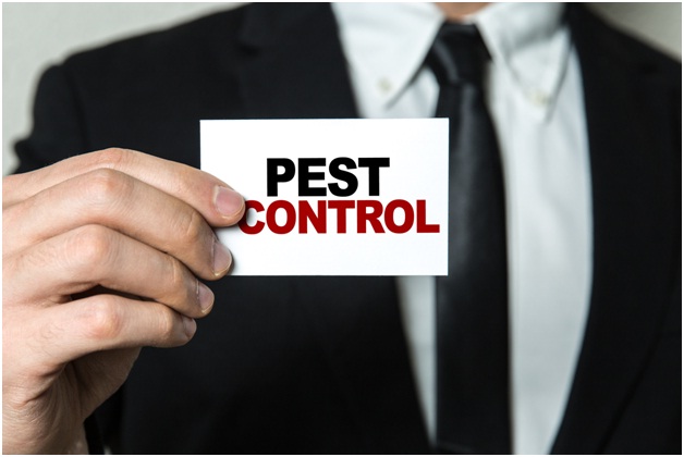 Local Pest Control Near Me: Choosing a Pest Control Company