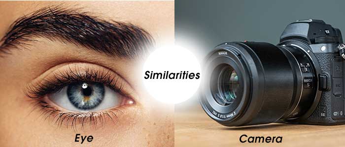 Similarities between eye and camera