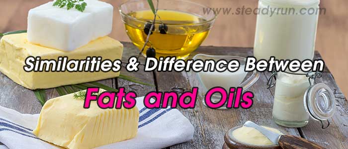 Similarities and Difference between Fats and Oils