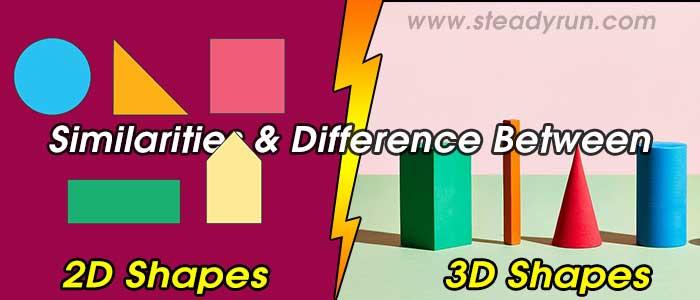 Similarities and Differences between 2D and 3D Shapes
