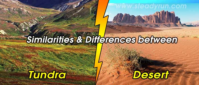 Similarities - Differences between Tundra and Desert