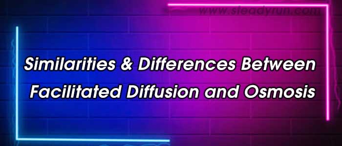 Similarities and Differences between facilitated diffusion and Osmosis