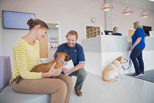 What Should You Know Before Starting a Veterinary Practice?