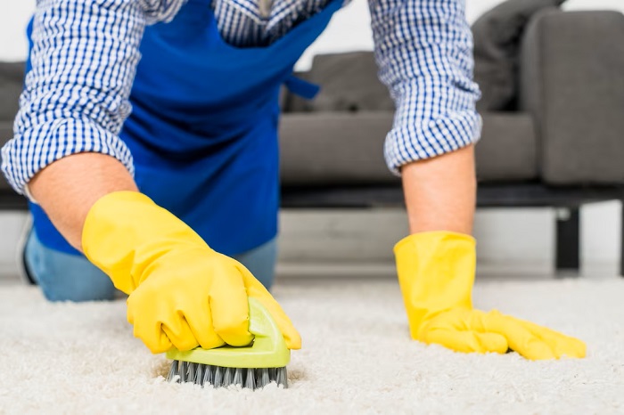 The Imperative of Professional Rug Cleaning for Toronto Homeowners 
